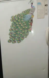 فیریزر پارس