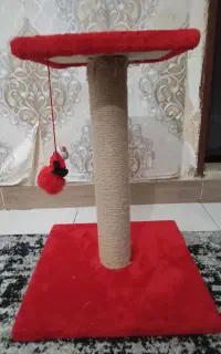 اسکرچر  و اسباب بازی گربه