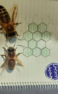 کتاب علوم خیلی سبز نهم