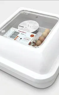 دستگاه جوجه کشی خانگی