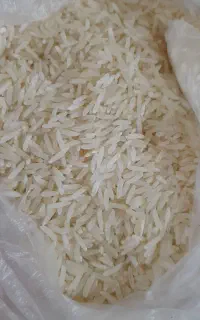 برنج فجر محلی