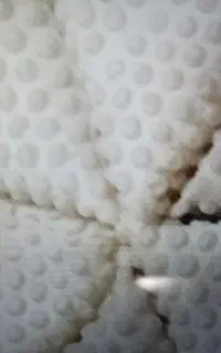 سمبوسه خام