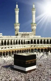 2 عدد فیش حج تمتع