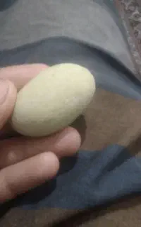 سنگ شبتاب