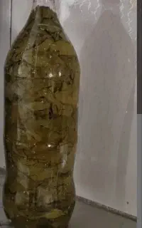 برگ انگور مخصوص دلمه
