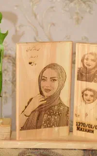 آموزش مجازی سوخت نگار چوب بدون نیاز به مهارت قبلی