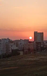 فروش سیم کارت ۹۱۹