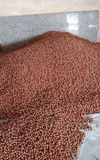 فندوق تازه