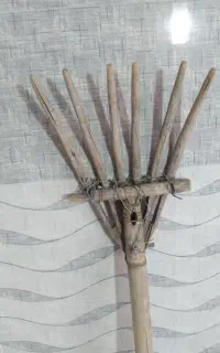 بیل و اوسه