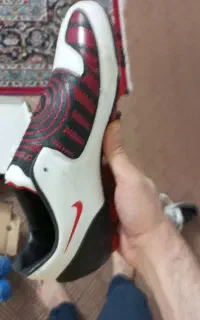 کفش نایک چمنی