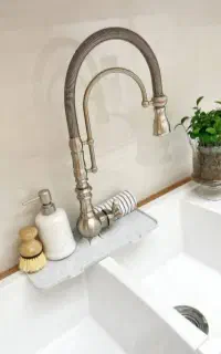 آبگیر دور شیر