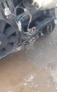 روا سال