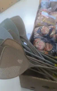 مگس کش هم رسید