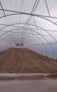 گلخانه