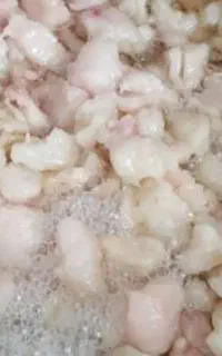 چربی و دنبه 250کیلویی