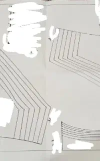 الگو شورت زنانه، مردانه