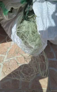 فروش ادوات صیادی