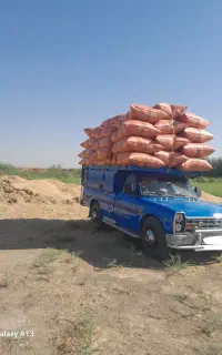 کاه گندم شلیف ۴۰۰تومان