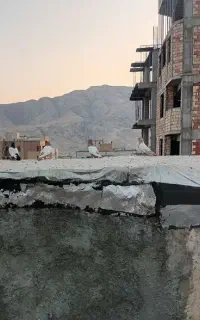پرنده گم شده