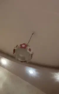 لوستر دخترانه
