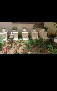 علف زنی علف زن باغبانی سمپاشی