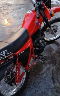 تریل xl 250 نیکتاز ۱۴۰۳