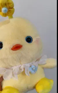 عروسک جوجه گل به سر