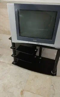 تلوزیون