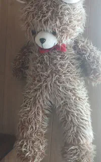 خرس