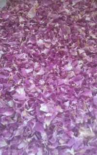 گل محمدی خشک