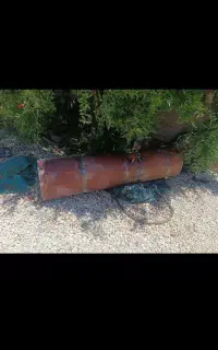 باک گازوییل