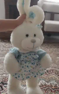 دو عدد عروسک
