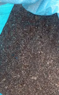 خاک حلزون