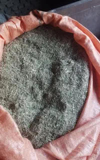 خار شتر، استان گلستان گنبدکاووس روستای آبادان تپه