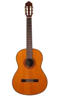 گیتار یاماها c70