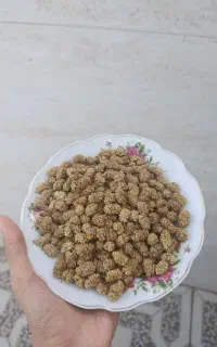 توت خشک شیرین طزرجون