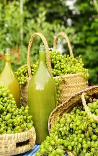 آبغوره گیری موجود هست