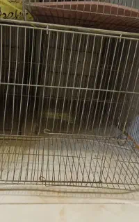 قفس بزرگ