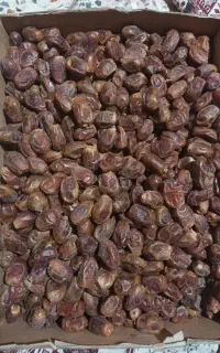 خرمای زاهدی اعلاء و با کیفیت