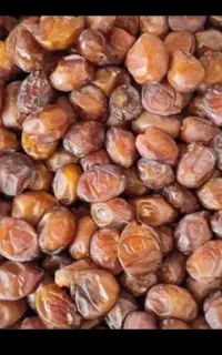 خرید و فروش و خرمای با چی با قیمت خوب