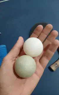 میز پینگ پنگ