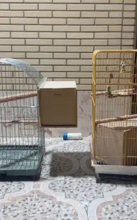 قفس پرنده