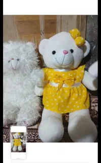 عروس خرس حراج
