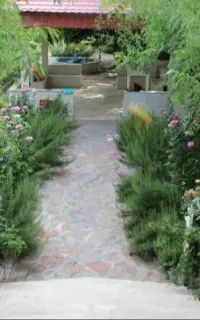 سنگ مالونی