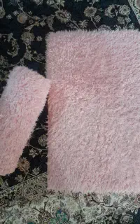 دو عدد پادری شگی
