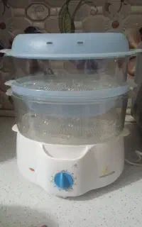 بخار پز