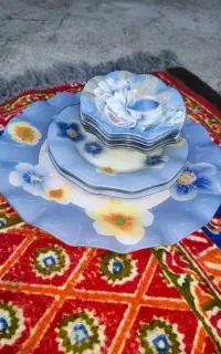 سرویس پذیرایی