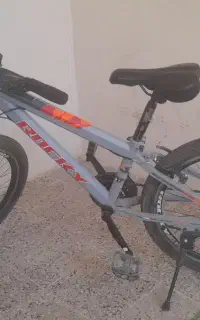 دوچرخه ۲۴ تنه بزرگ