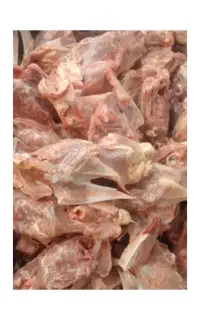اسکلت با گردن مرغ