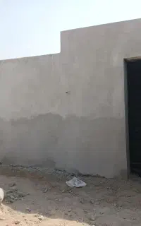 کاربنایی